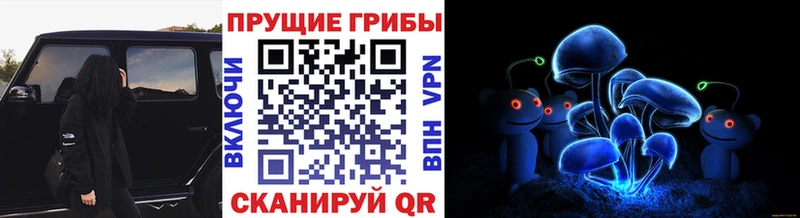 Галлюциногенные грибы Psilocybe  Купить  Райчихинск 