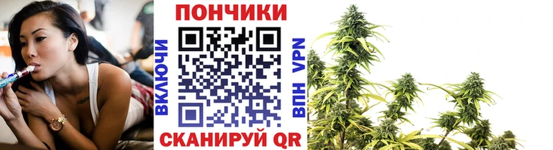 Купить  Райчихинск  Каннабис сатива 